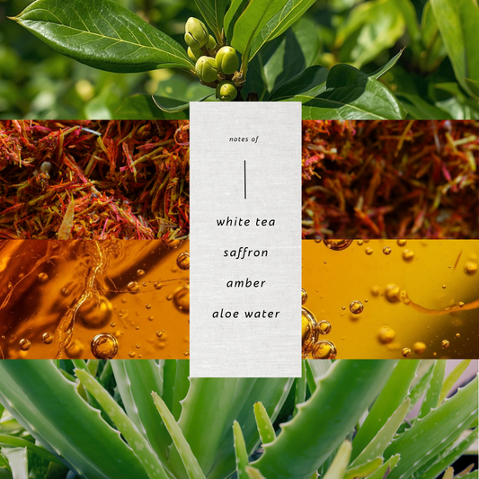 Esmé   |   The Sovereign