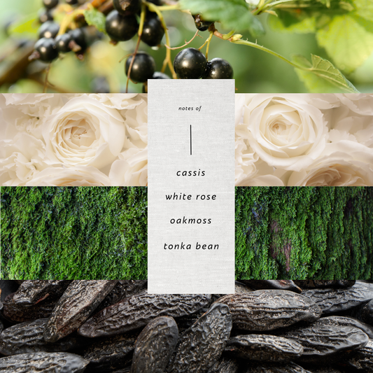 Irie     |     The Inner Wild