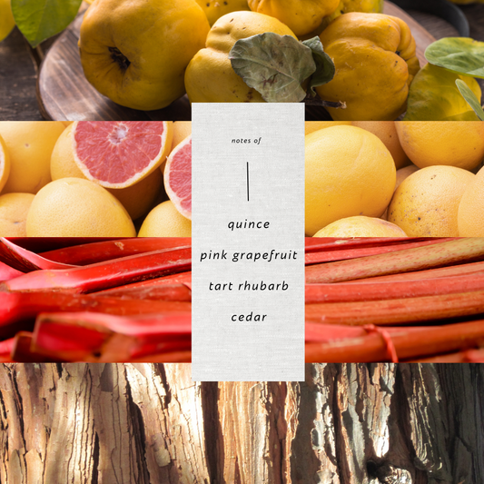 Nomi   |   The Bold Heart