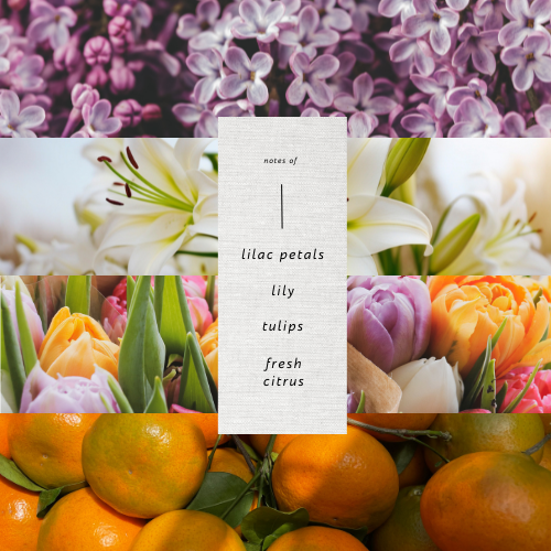 Sunkissed Lilac