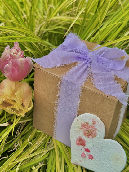 Sunkissed Lilac